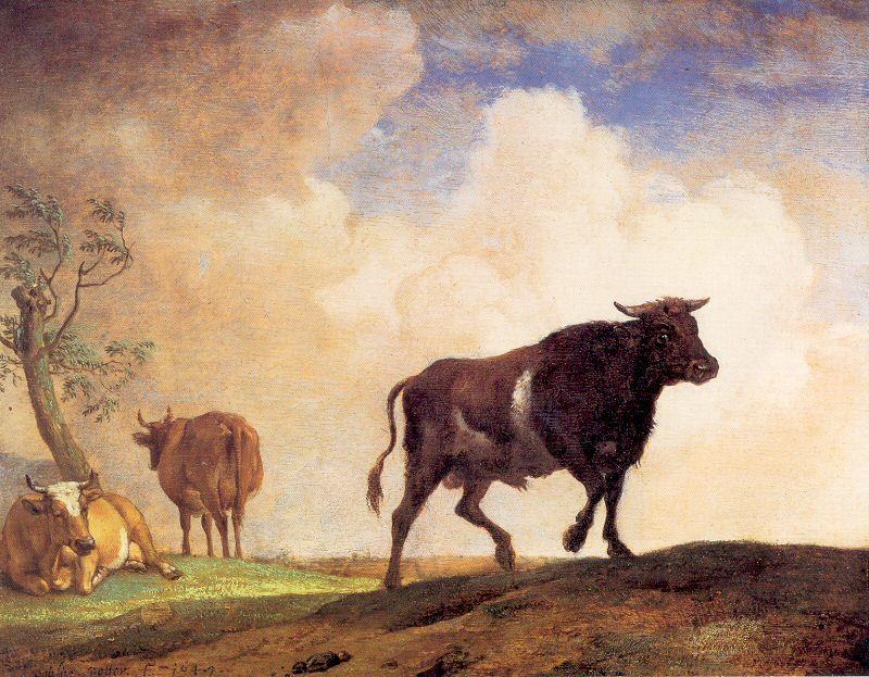 POTTER, Paulus The Bull oil painting picture